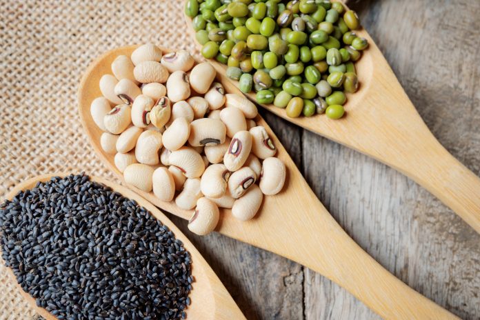 Healthy diet beans. Healthy food with soybean and mung bean and sesame seeds in wooden spoons on hemp sack and wooden desk background. Nutritious diet and above view of beans.