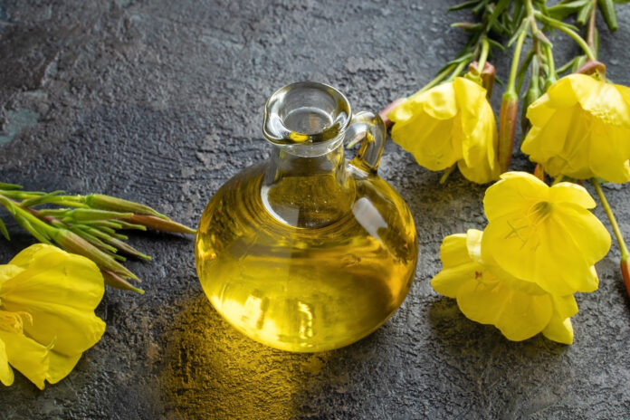 A bottle of evening primrose oil with fresh blooming evening primrose plant on a dark background