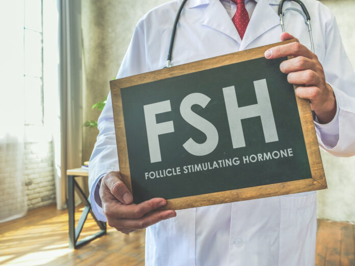 Doctor holds sign FSH Follicle stimulating hormone on the desk.