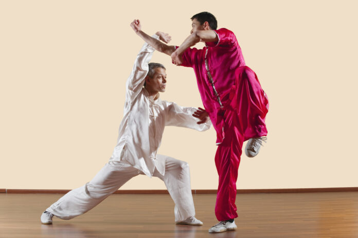 Kung Fu, Changquan, Duilian, Long Fist Style, Two men  doing kung-fu moves