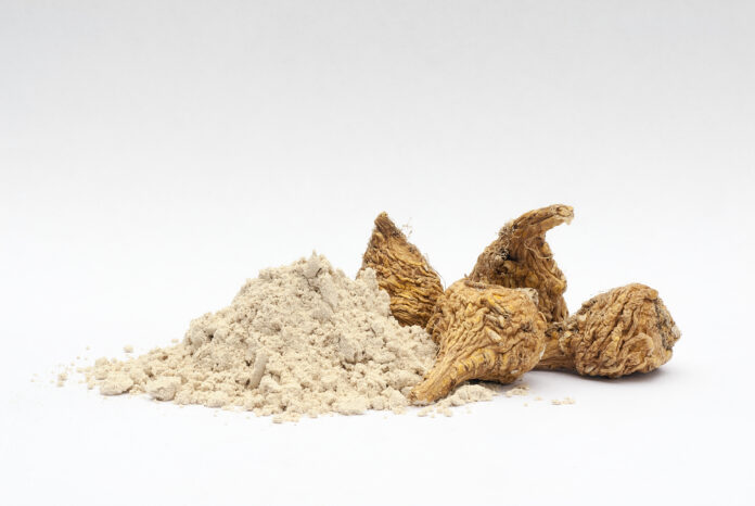 Peruvian ginseng or maca (Lepidium meyenii), dried root and  powder on wooden table