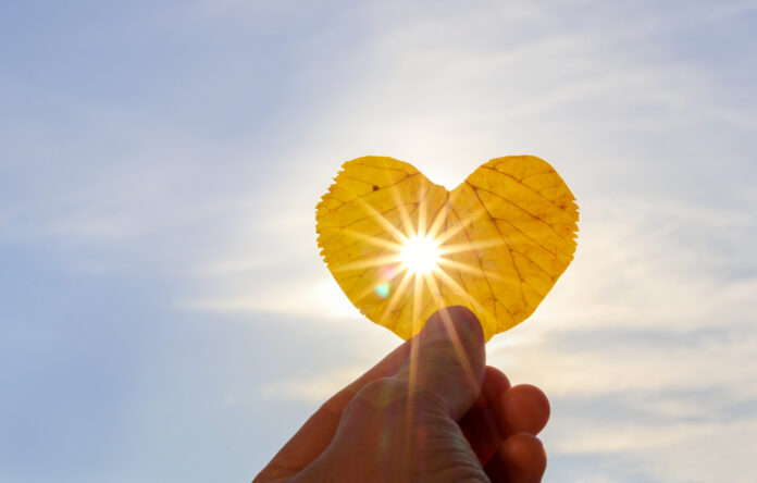 Primer plano de la mano sosteniendo una hoja amarilla en forma de corazón con los rayos del sol brillando a través de ella en el fondo del cielo azul claro. Me encanta el concepto de otoño. Copiar espacio
