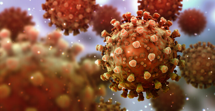 coronavirus, virus que causa infecciones respiratorias