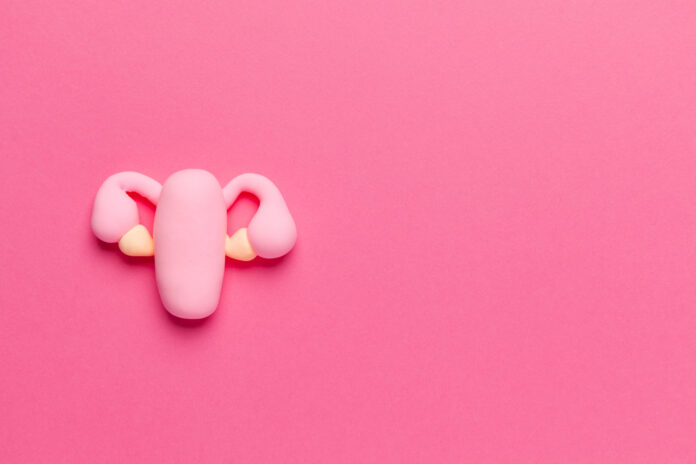 The female reproductive organ on pink is the uterus with ovaries. Copy space for text.