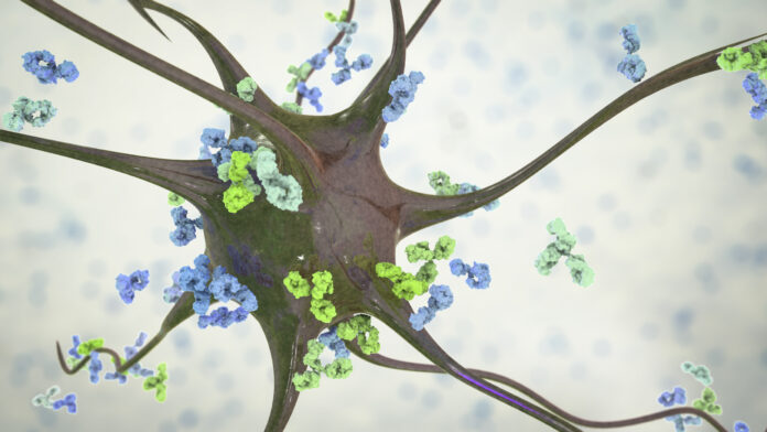 Anticuerpos atacando a la neurona, ilustración en 3D. Concepto de enfermedades neurológicas autoinmunes