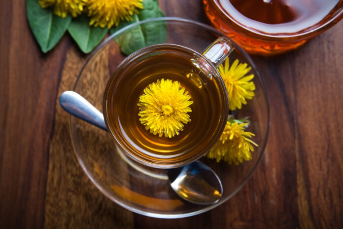 herbata tisane z mniszka lekarskiego ze świeżym żółtym kwiatem w filiżance, na drewnianym stole