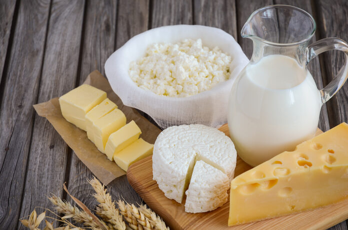 Frische Milchprodukte - Milch, Käse, Butter und Hüttenkäse mit Weizen auf rustikalem Holzhintergrund, selektiver Fokus, Kopierraum