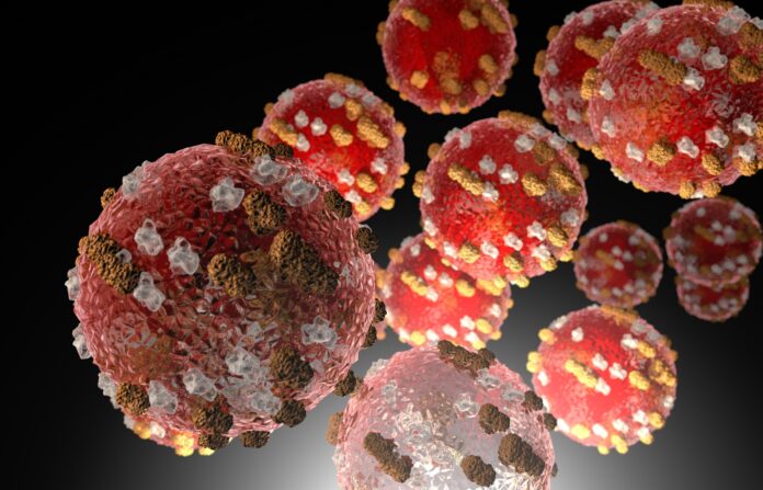 Células del virus del sarampión