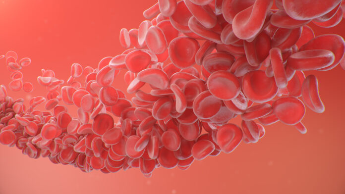 Red blood cells on a red background. Flow of blood in a living organism. Scientific and medical concept. Transfer of important elements in the blood to protect the body, 3d illustration