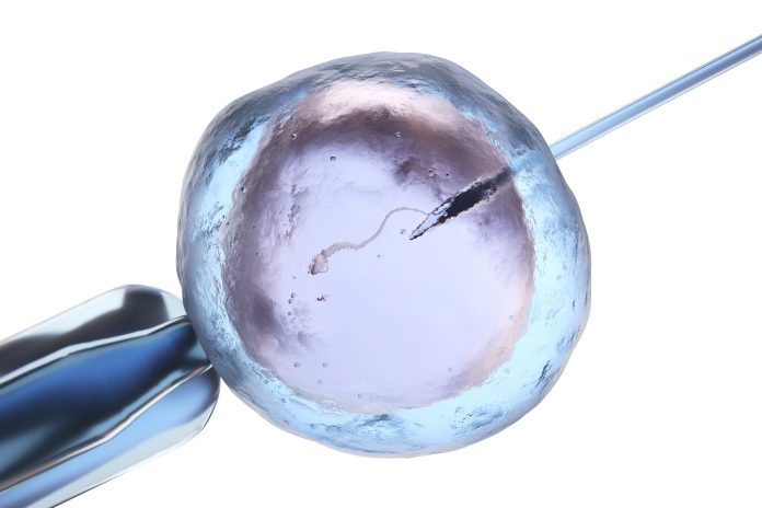 Künstliche Befruchtung oder In-vitro-Fertilisation. 3D-Darstellung