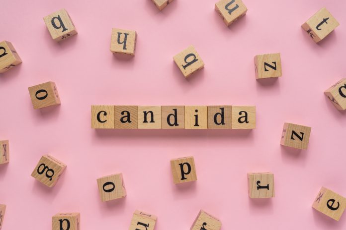 Candida word on wooden block. Flat lay on light pink background.