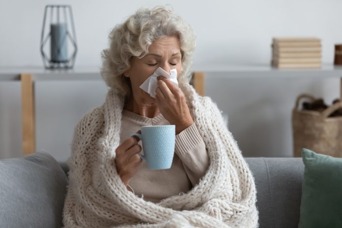 Sick mature woman wrapped blanket blowing running nose, feeling unhealthy and ill, upset middle aged female holding paper napkin, handkerchief, holding tea or coffee mug, sitting on couch at home