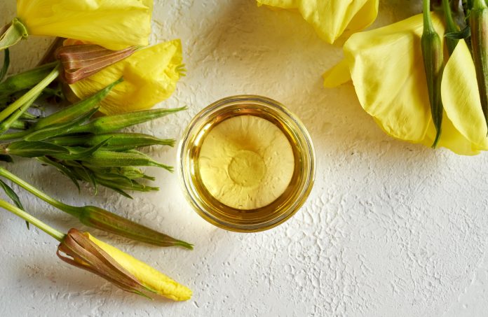 A bowl of evening primrose oil with blooming Oenothera biennis plant