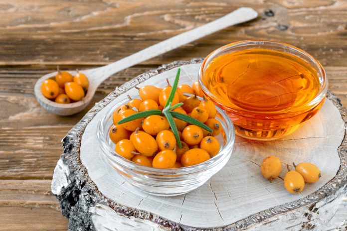 Sea buckthorn berries and oil in small glass plates on a birch stump