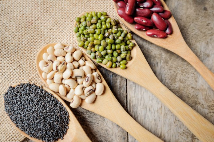 Healthy diet beans
