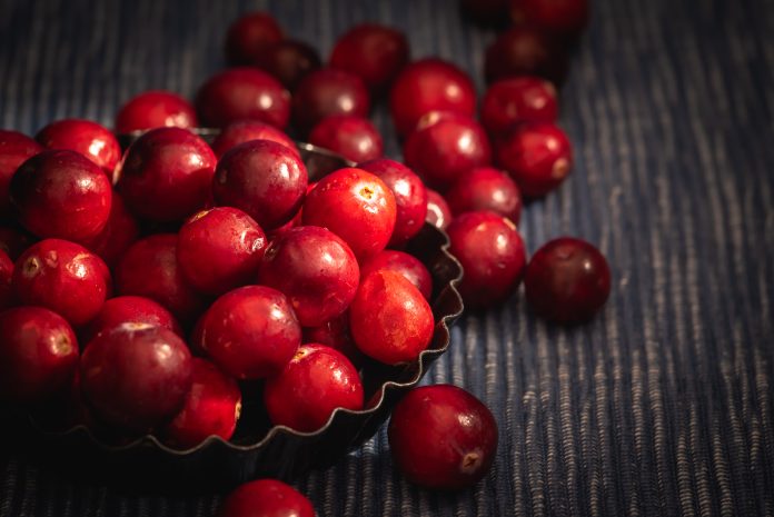 cranberries-fruits